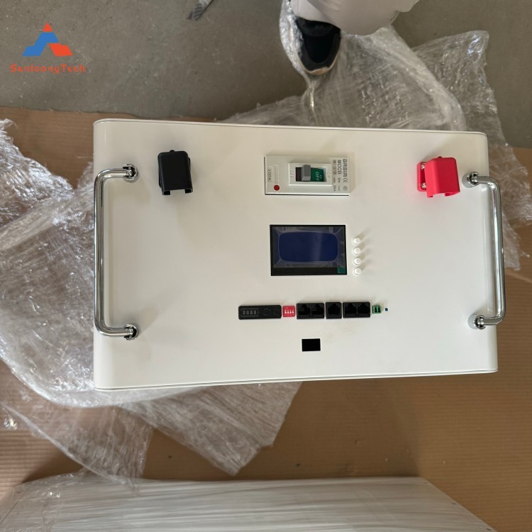 Portable Lifepo4 24V Battery Box