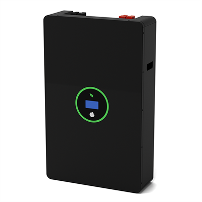 48 V buitinės ličio akumuliatoriaus dėžutė